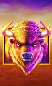 Buffalo King